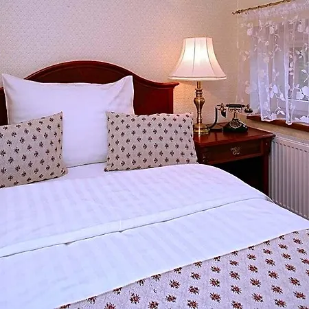 Hotel Mertin 3*